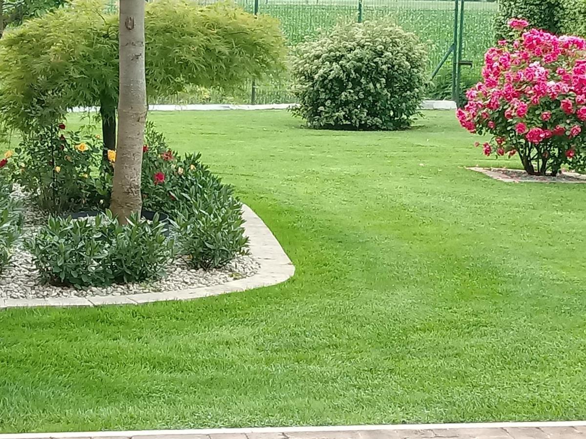 B&B Residence Il Ciliegio , Via Villa Superiore 93 Luzzara Suzzara Eksteriør bilde